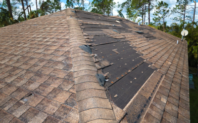 Storm Damage and Your Roof: What to Do After Severe Weather Hits